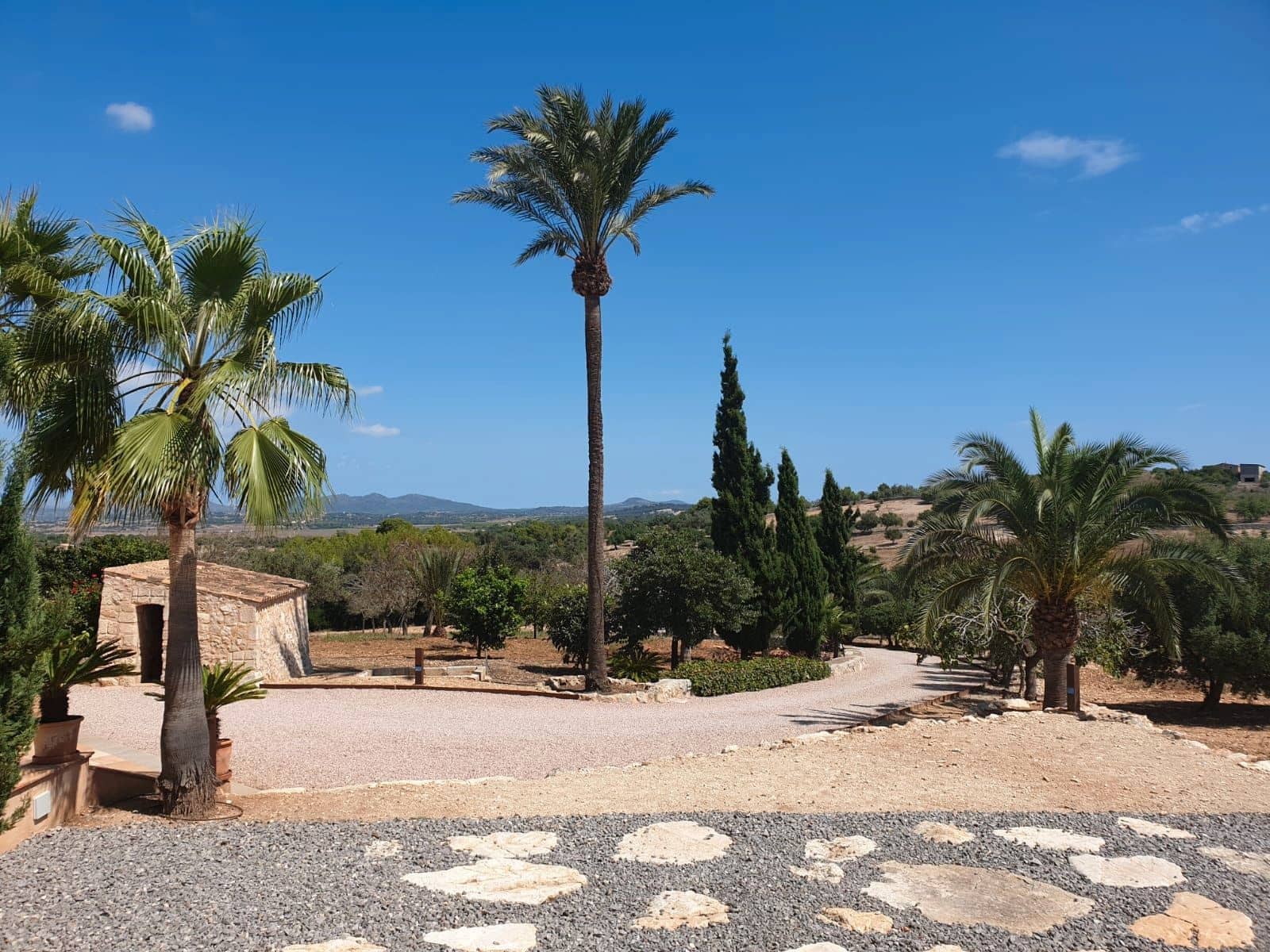 4 slaapkamer Finca/Landhuis te koop in Manacor met zwembad garage - € 4.900.000 (Ref: 8807431)