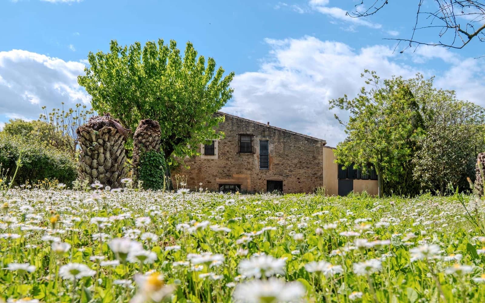 8 soveværelse Finca/Landehus til salg i Forallac med swimmingpool garage - € 2.607.000 (Ref: 8942143)