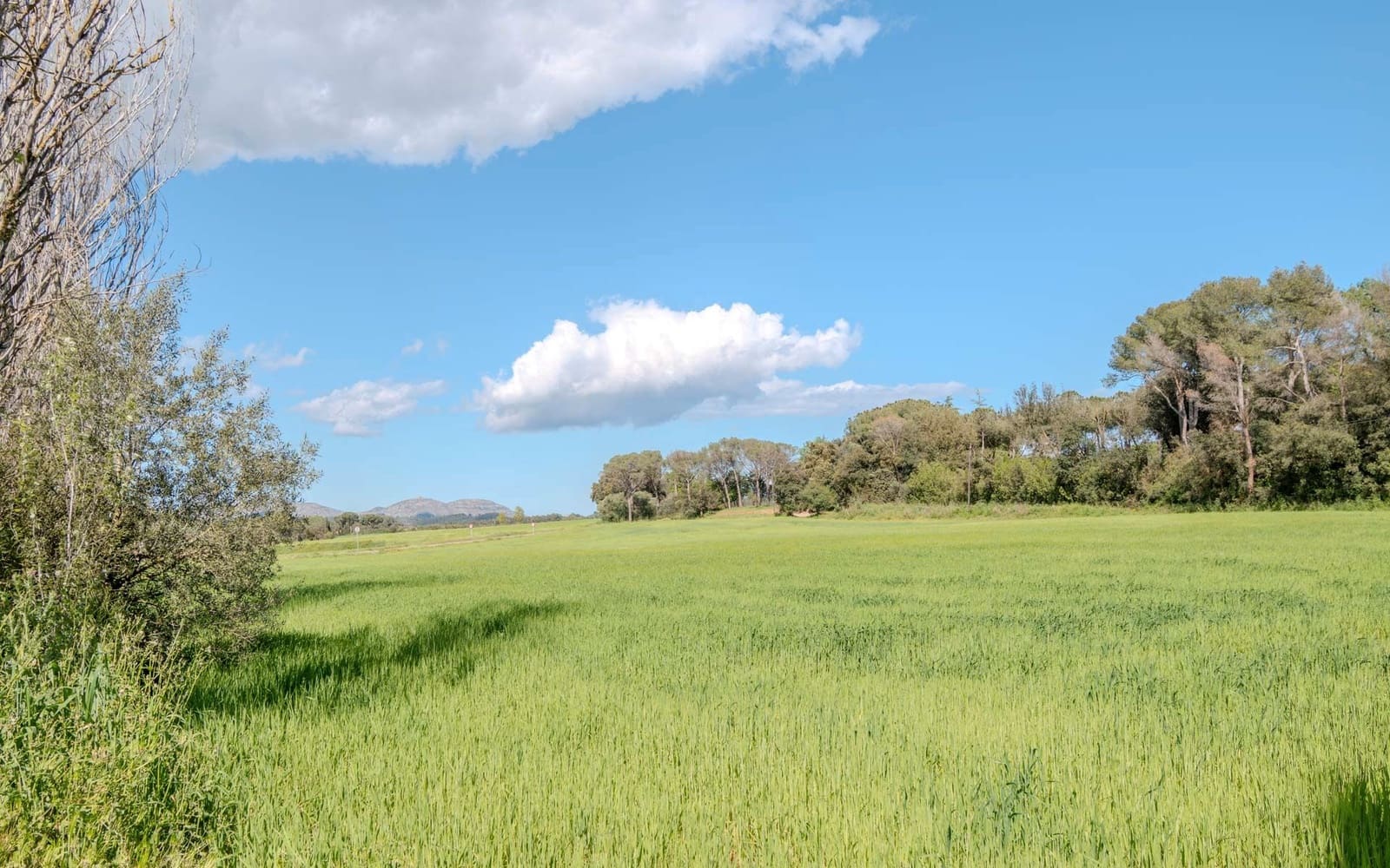 8 soveværelse Finca/Landehus til salg i Forallac med swimmingpool garage - € 2.607.000 (Ref: 8942143)