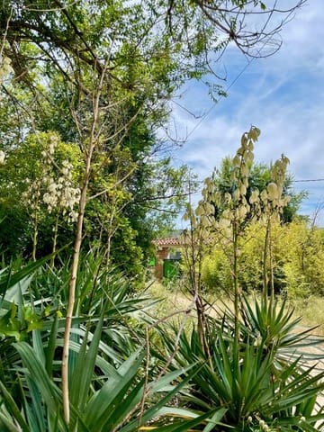 Terreno para Construção para venda em Cerdanyola del Vallès - 690 000 € (Ref: 9006191)