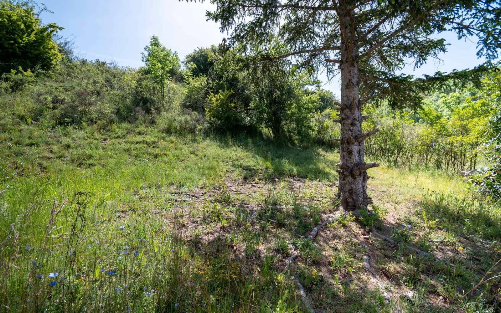 4 soveværelse Villa til salg i Fontanals de Cerdanya med swimmingpool garage - € 718.000 (Ref: 9035373)