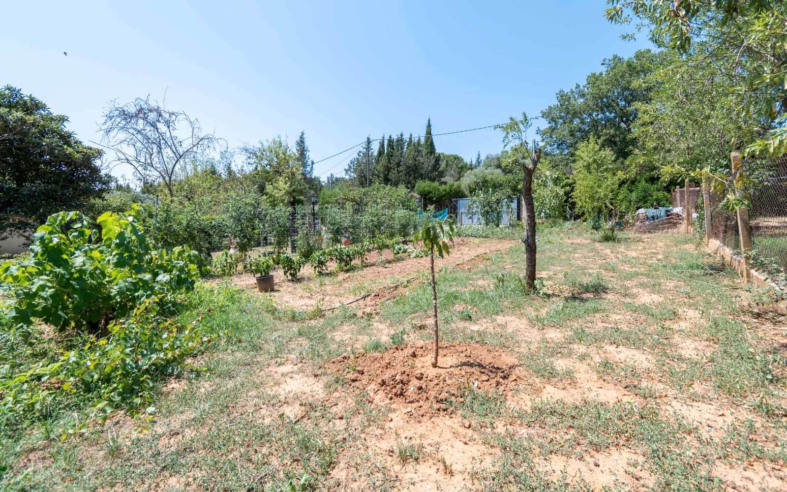 Byggegrund til salg i Cruilles Monells i Sant Sadurni de I'Heura - € 130.000 (Ref: 9150424)