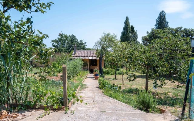 Byggetomt til salgs i Cruïlles Monells i Sant Sadurní de I'Heura - € 130 000 (Ref: 9150424)