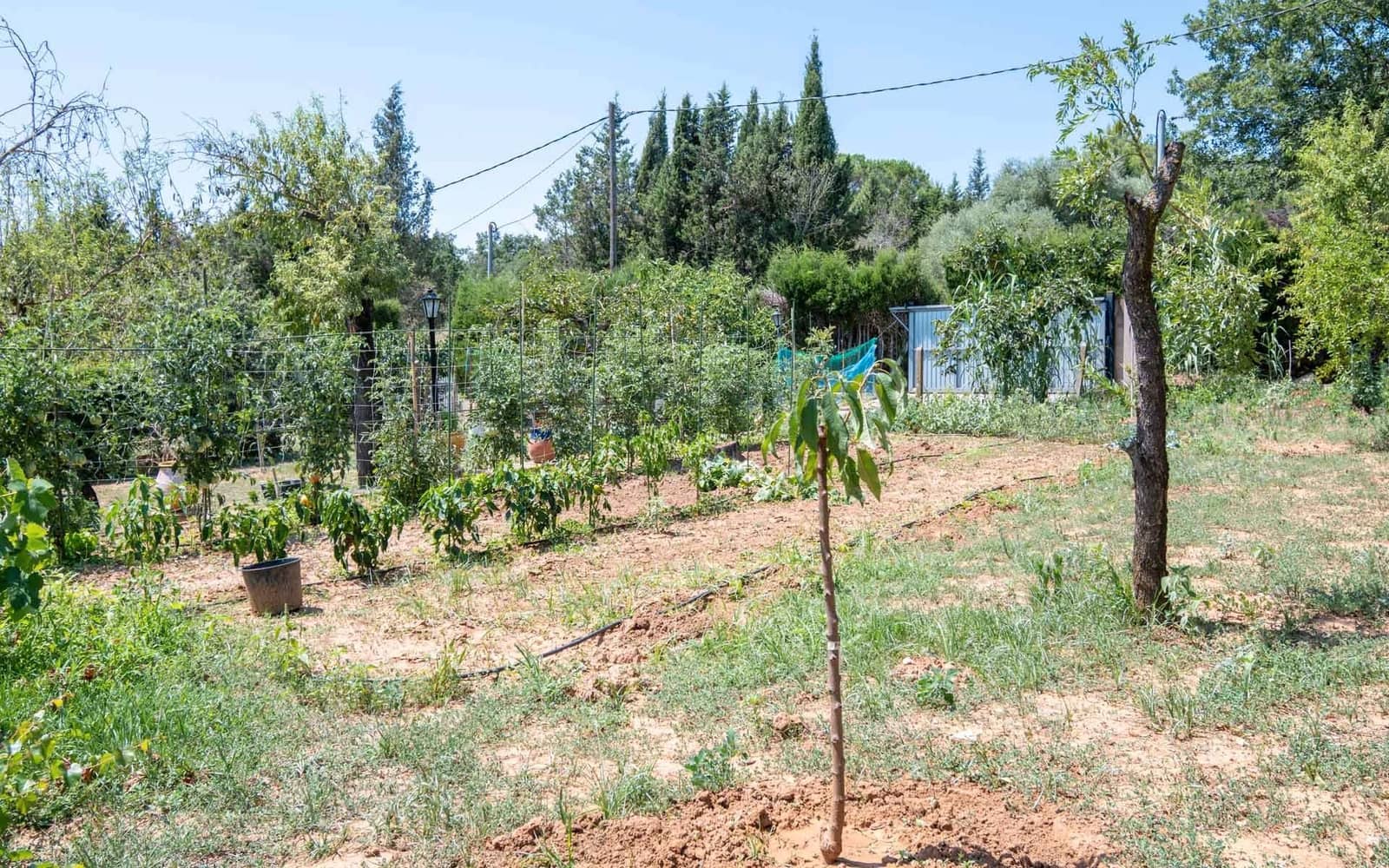 Byggegrund til salg i Cruilles Monells i Sant Sadurni de I'Heura - € 130.000 (Ref: 9150424)