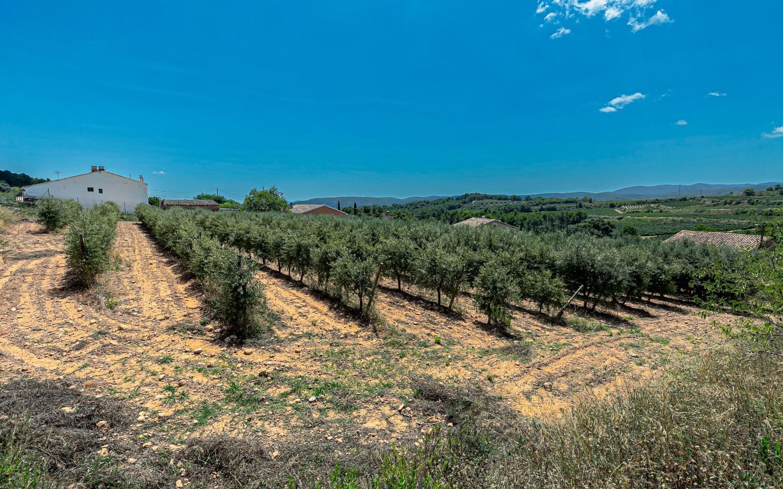 5 soverom Finca/Herregård til salgs i Torrelles de Foix med svømmebasseng garasje - € 1 250 000 (Ref: 9183923)