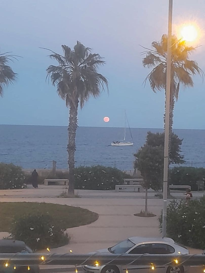 3 soveværelse Lejlighed til salg i Badalona med swimmingpool - € 530.000 (Ref: 9186162)