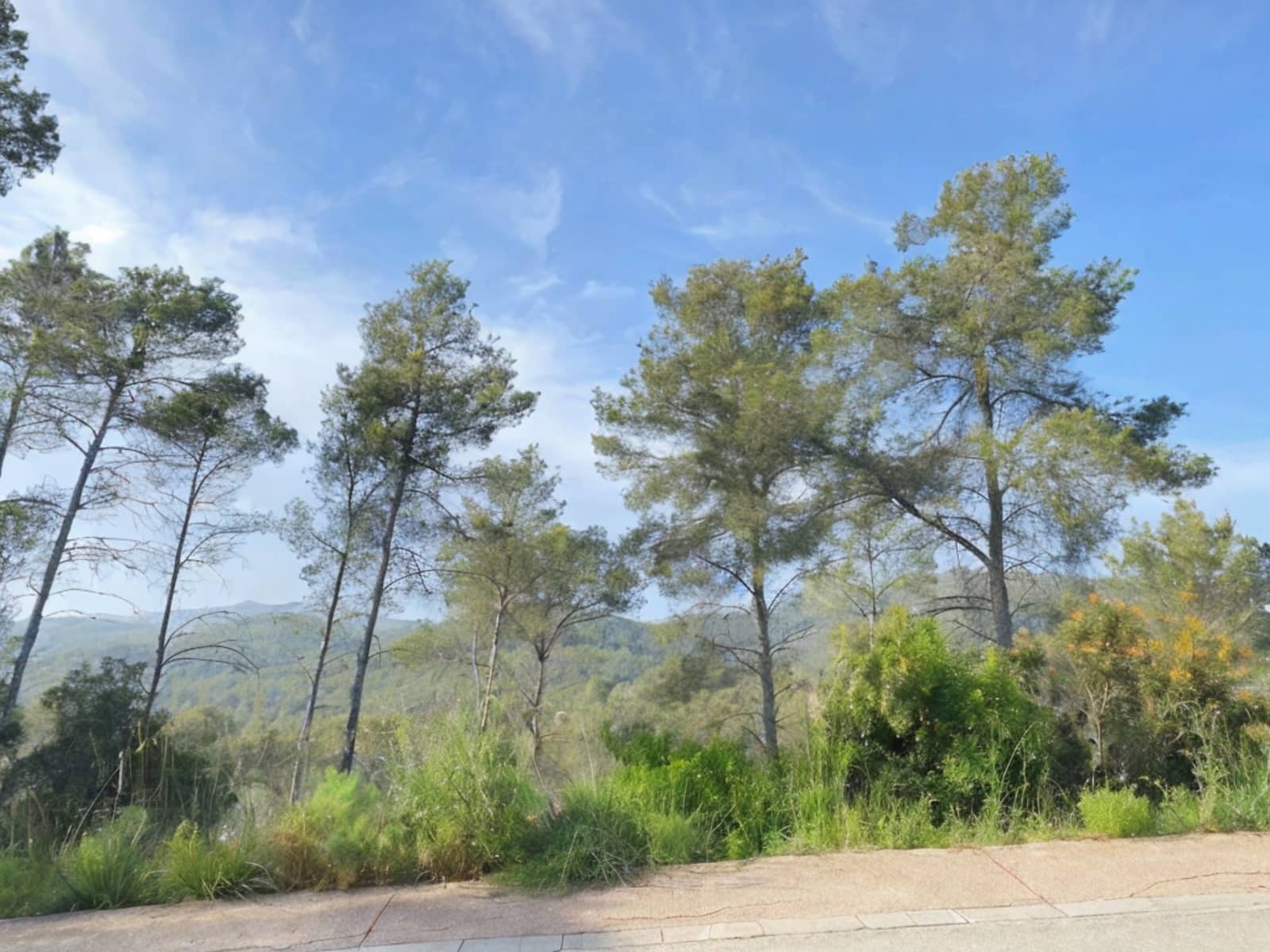 Tomt till salu i Olivella - 90 000 € (Ref: 9343643)