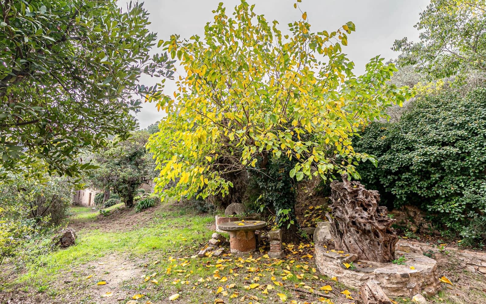 6 sovrum Finca/Hus på landet till salu i Sant Andreu de la Barca med garage - 1 300 000 € (Ref: 9368978)