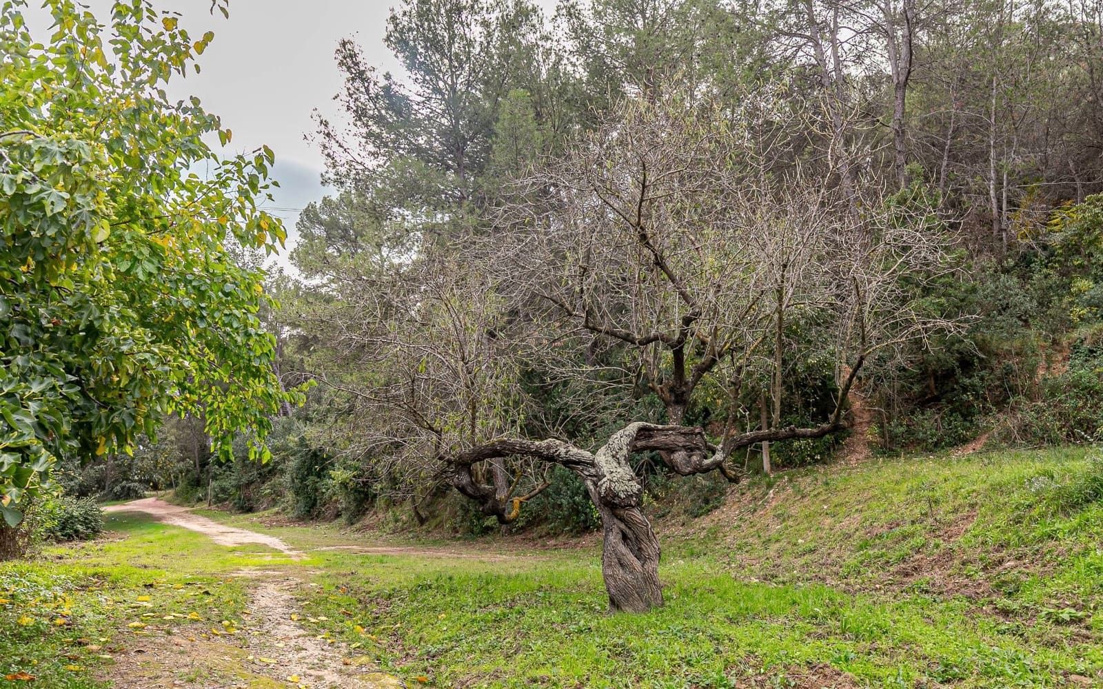 6 sovrum Finca/Hus på landet till salu i Sant Andreu de la Barca med garage - 1 300 000 € (Ref: 9368978)