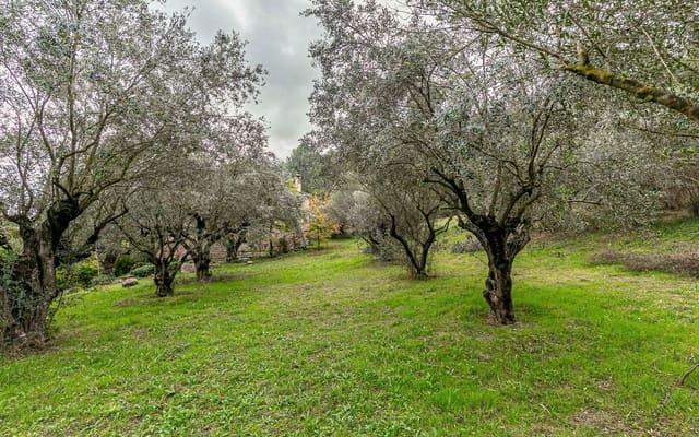 6 sypialnia Finka/Dom wiejski na sprzedaż w Sant Andreu de la Barca z garażem - 1 300 000 € (Ref: 9368978)