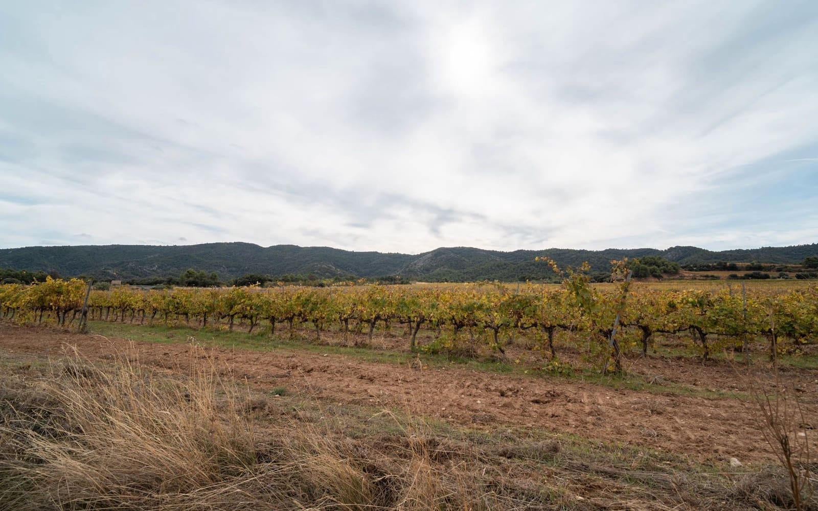 3 soverom Hus til salgs i La Pobla de Cervoles - € 90 000 (Ref: 9371520)