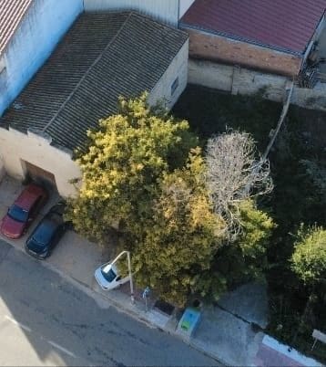 Comercial para venda em Bot - 120 000 € (Ref: 9459800)