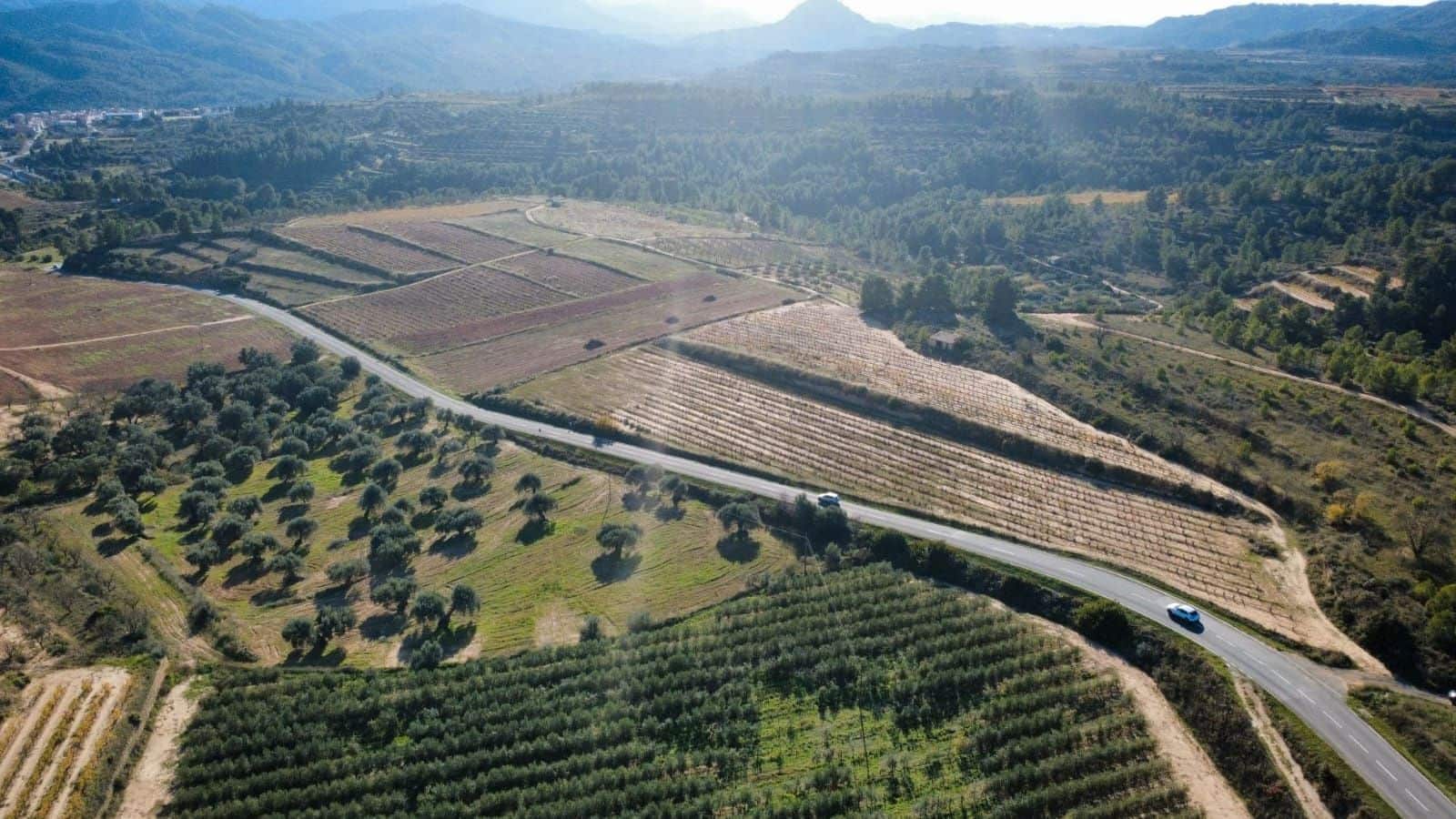 Building Plot for sale in Bot - € 90,000 (Ref: 9588501)