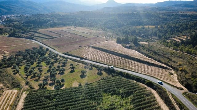 Building Plot for sale in Bot - € 90,000 (Ref: 9588501)