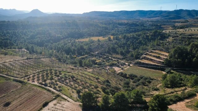 Building Plot for sale in Bot - € 90,000 (Ref: 9588501)