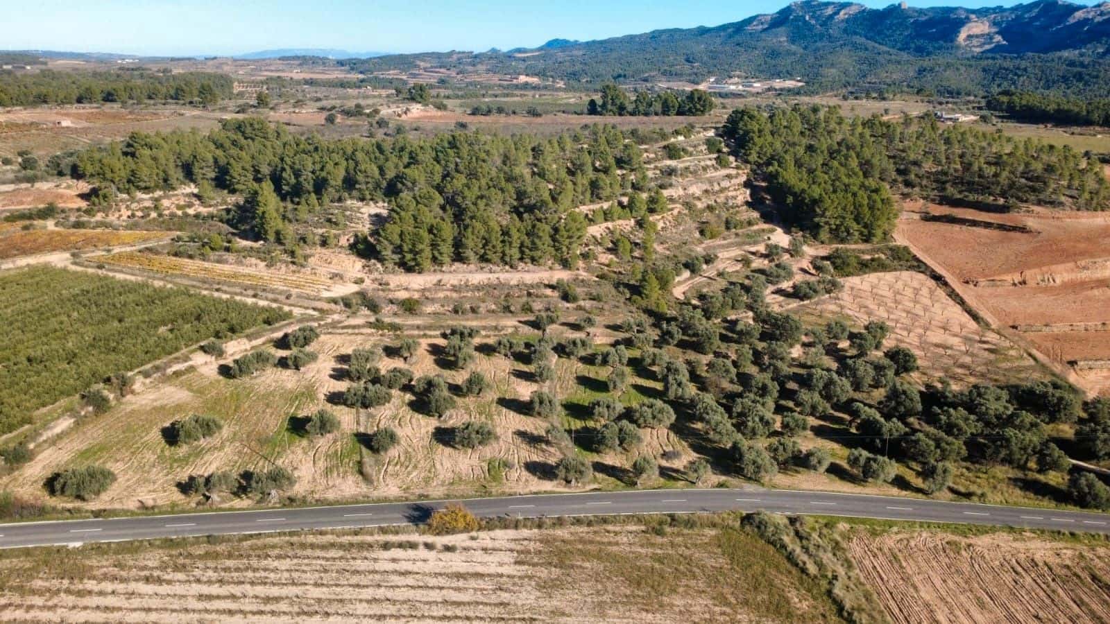 Building Plot for sale in Bot - € 90,000 (Ref: 9588501)