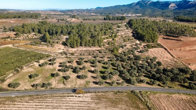 Building Plot for sale in Bot - € 90,000 (Ref: 9588501)