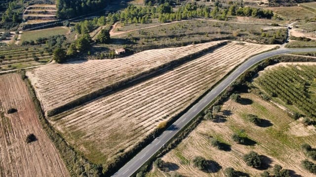 Building Plot for sale in Bot - € 90,000 (Ref: 9588501)