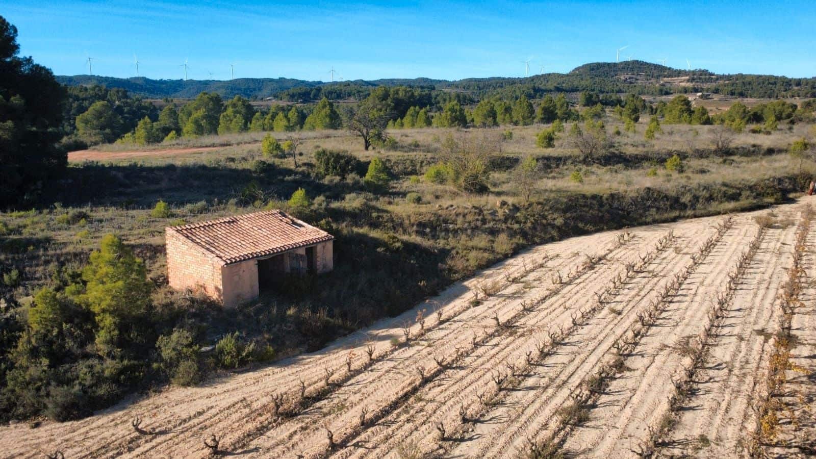 Building Plot for sale in Bot - € 90,000 (Ref: 9588501)