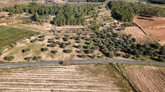 Building Plot for sale in Bot - € 90,000 (Ref: 9588501)