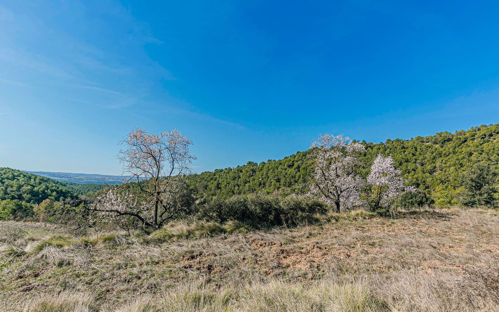 5 Zimmer Finca/Landgut zu verkaufen in Naves - 590.000 € (Ref: 9652409)