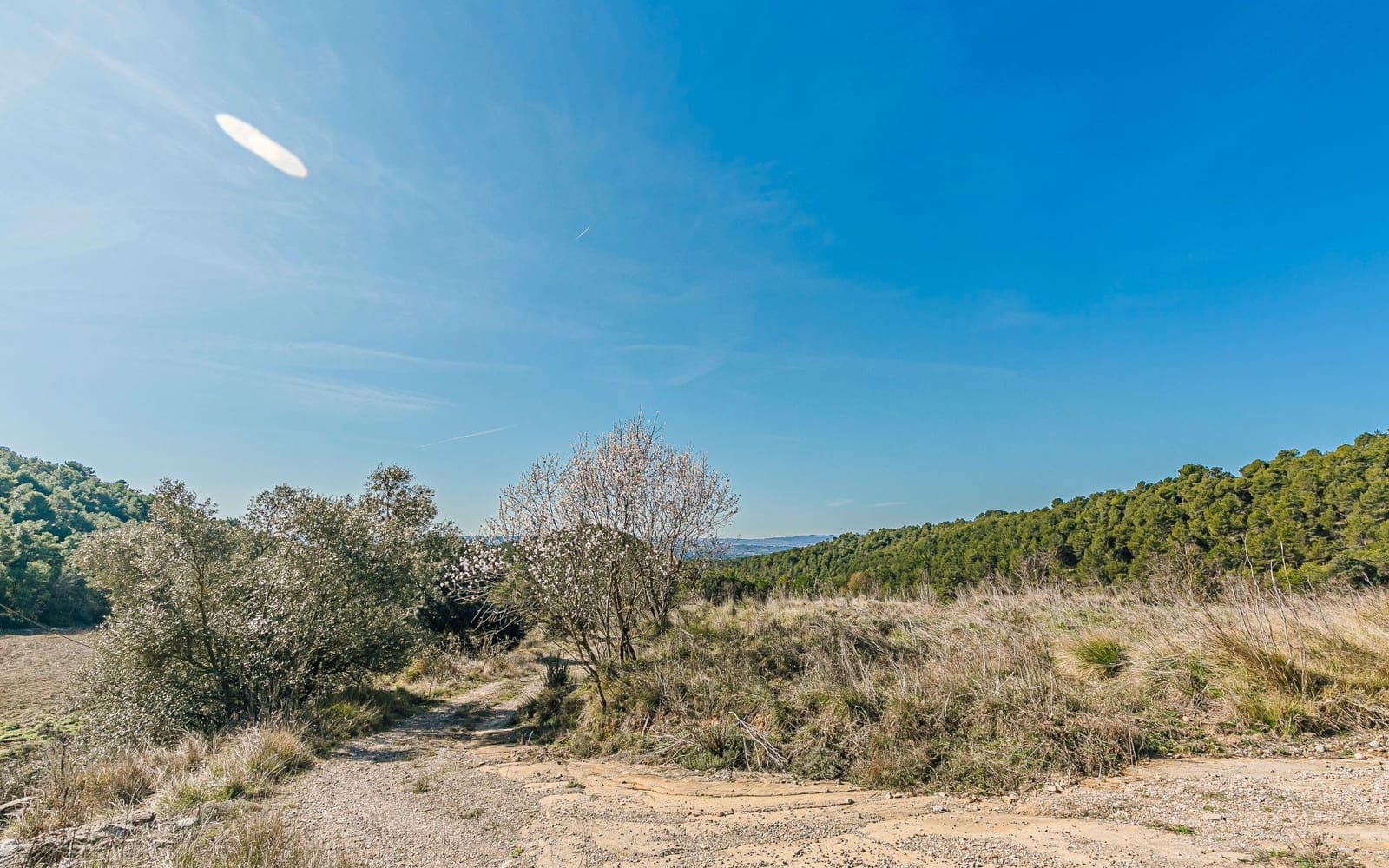 5 Zimmer Finca/Landgut zu verkaufen in Naves - 590.000 € (Ref: 9652409)