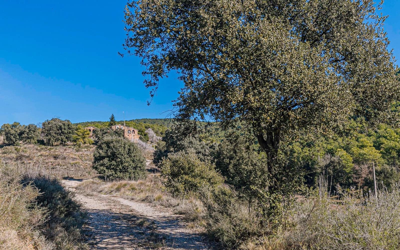 5 Zimmer Finca/Landgut zu verkaufen in Naves - 590.000 € (Ref: 9652409)