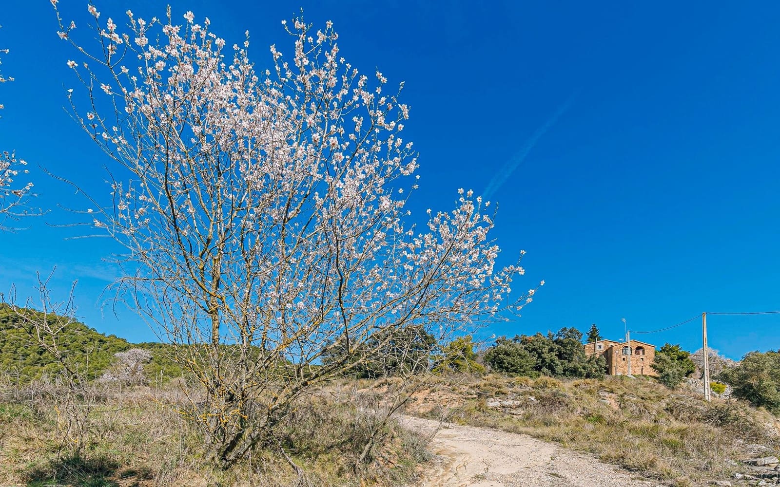 5 Zimmer Finca/Landgut zu verkaufen in Naves - 590.000 € (Ref: 9652409)