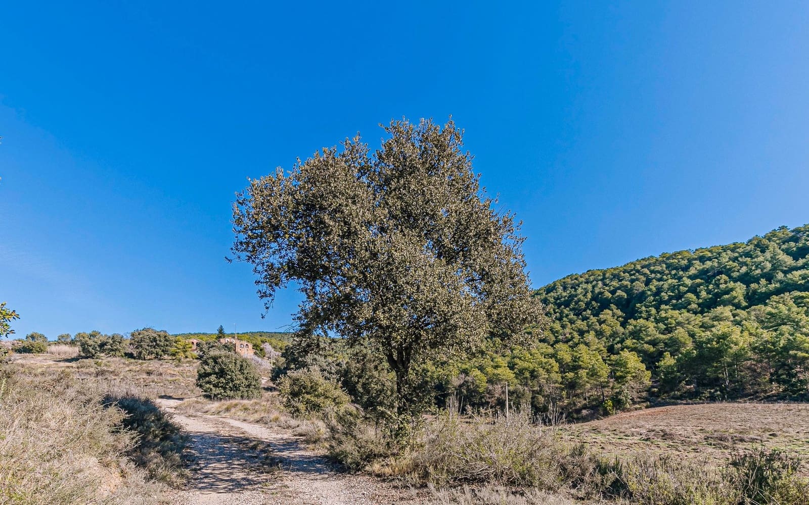 5 Zimmer Finca/Landgut zu verkaufen in Naves - 590.000 € (Ref: 9652409)