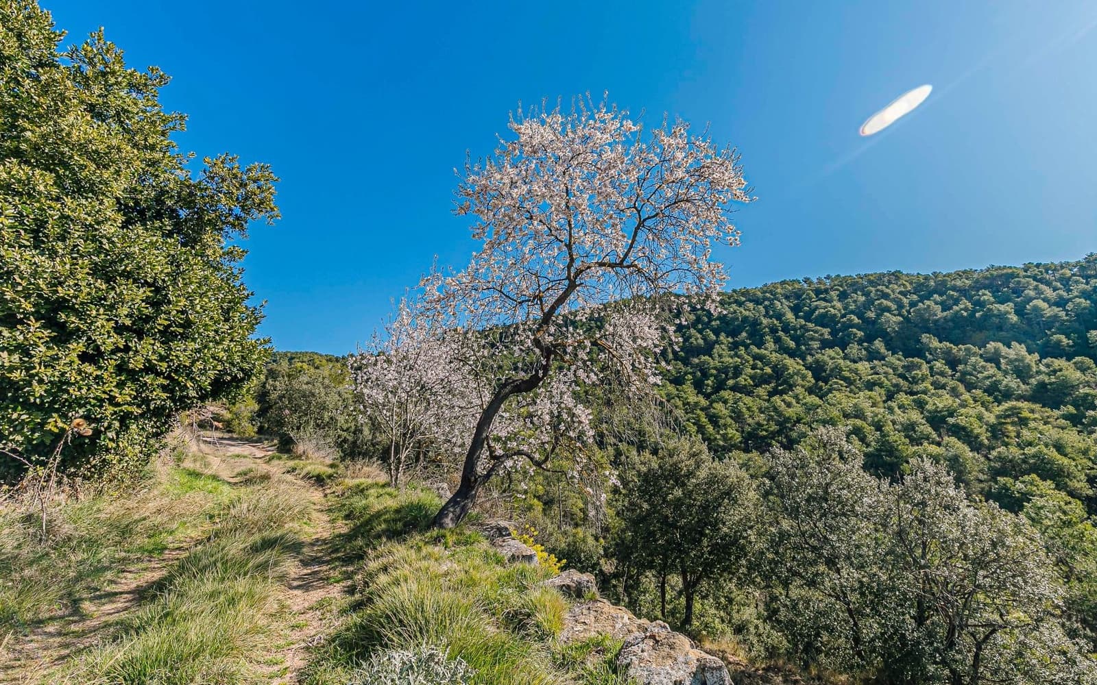 5 Zimmer Finca/Landgut zu verkaufen in Naves - 590.000 € (Ref: 9652409)