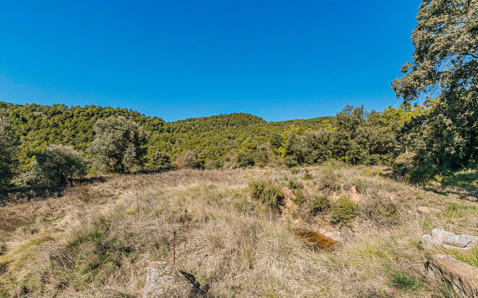 5 Zimmer Finca/Landgut zu verkaufen in Naves - 590.000 € (Ref: 9652409)