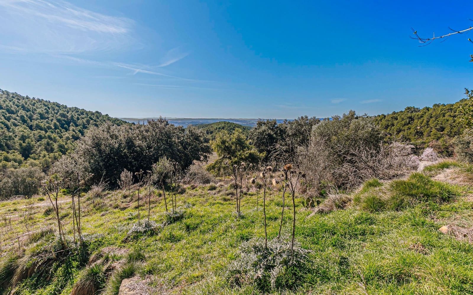 5 Zimmer Finca/Landgut zu verkaufen in Naves - 590.000 € (Ref: 9652409)