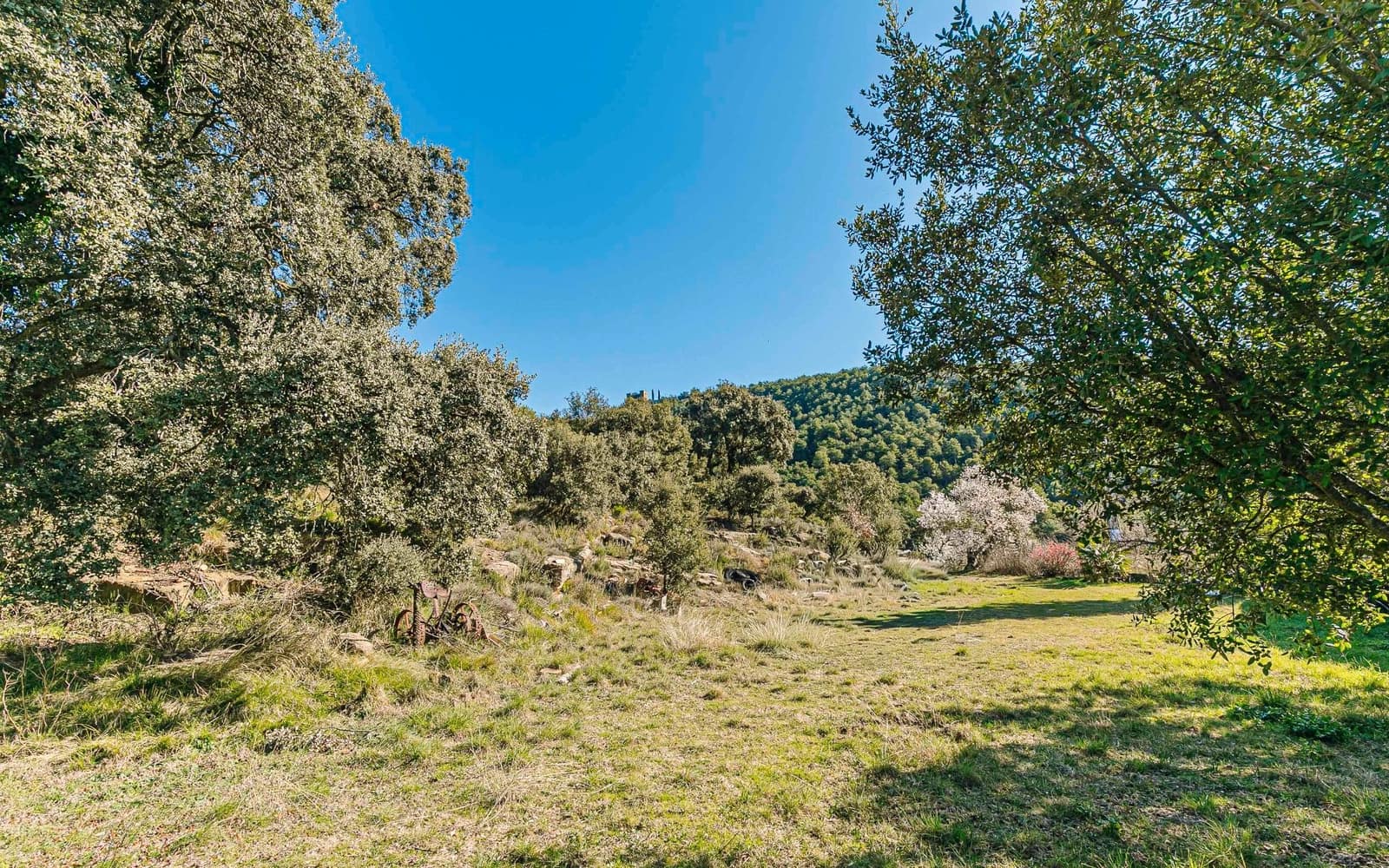 5 Zimmer Finca/Landgut zu verkaufen in Naves - 590.000 € (Ref: 9652409)