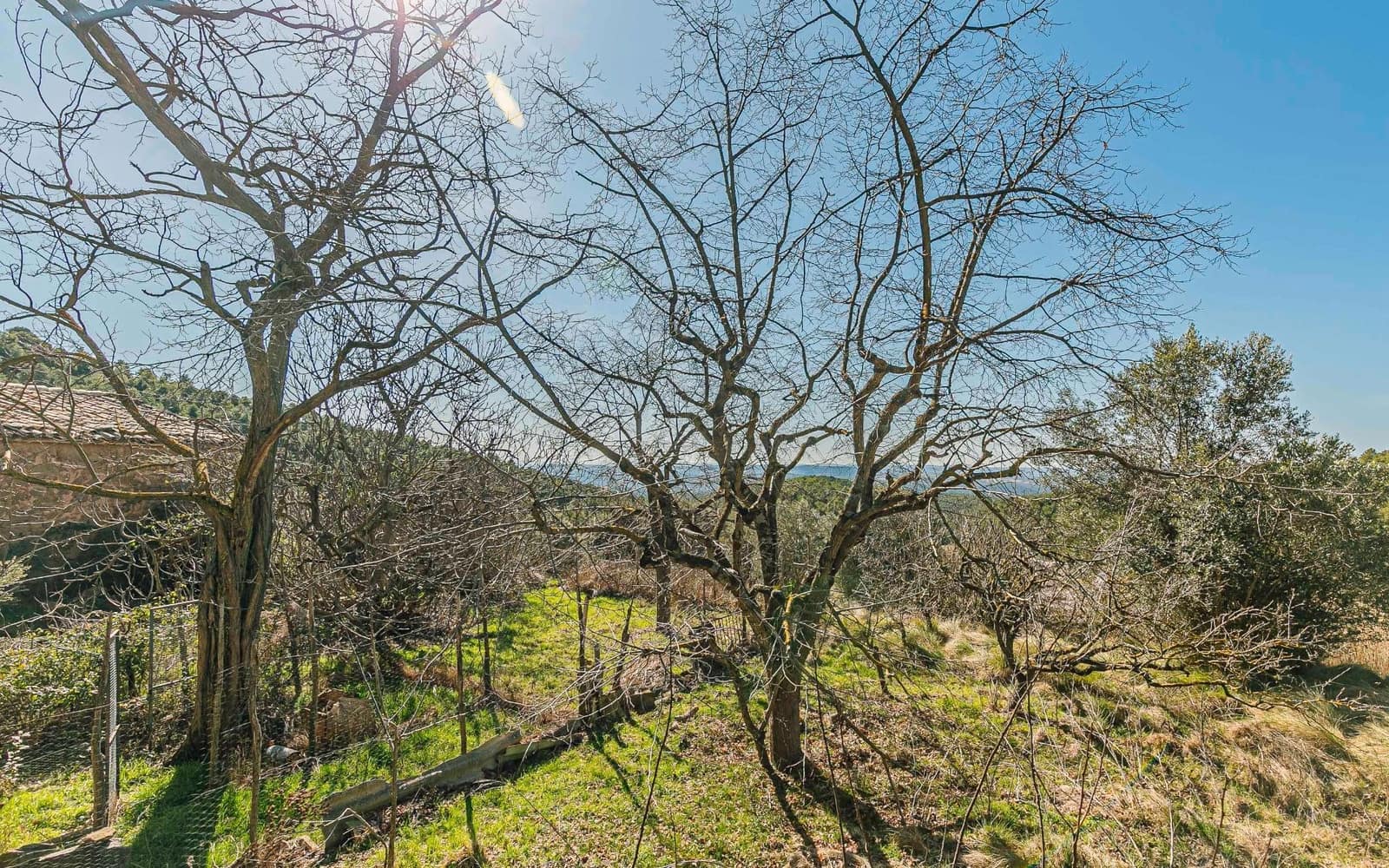 5 Zimmer Finca/Landgut zu verkaufen in Naves - 590.000 € (Ref: 9652409)