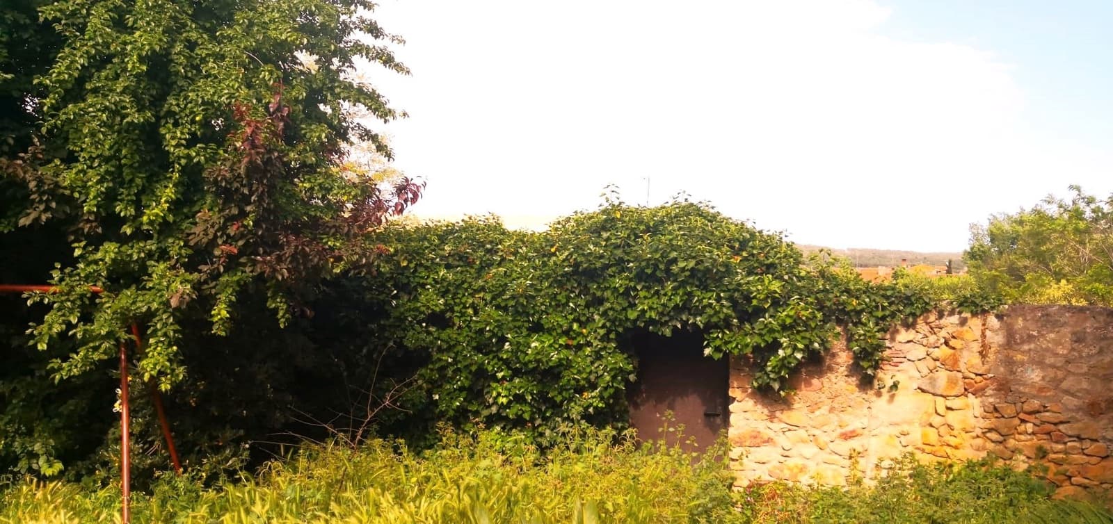 Building Plot for sale in Pals - € 350,000 (Ref: 9676510)