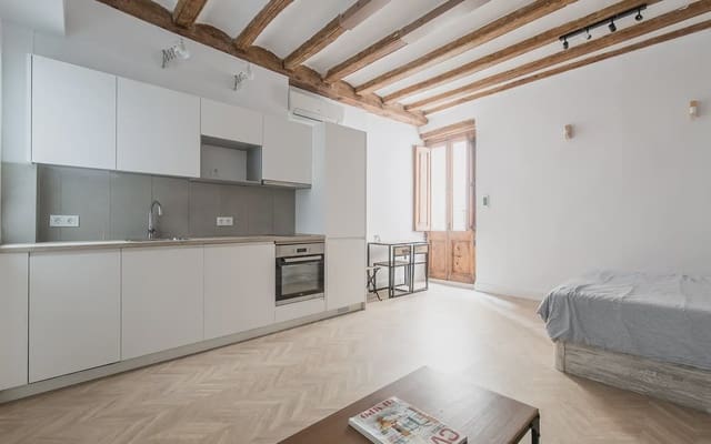 1 makuuhuone Asunto myytävänä paikassa Sant Pere, Santa Caterina i La Ribera, Barcelona kaupunki - 150 000 € (Ref: 9789796)