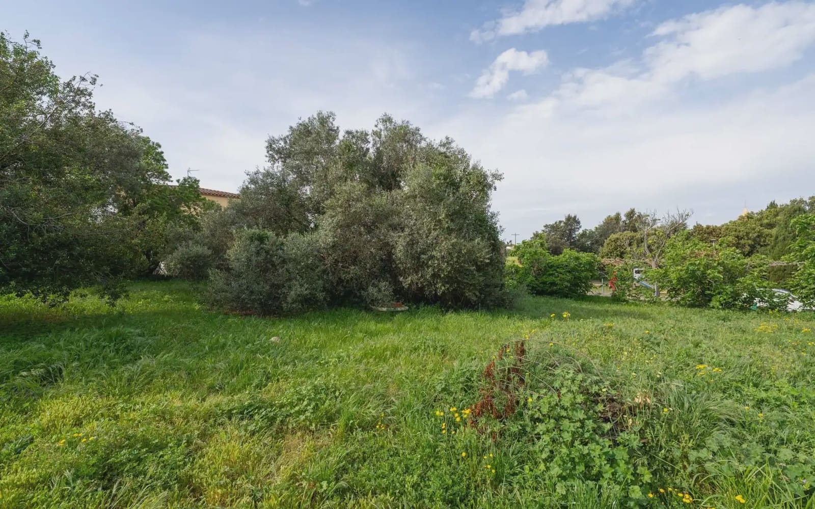 Building Plot for sale in Pals - € 395,000 (Ref: 9797996)