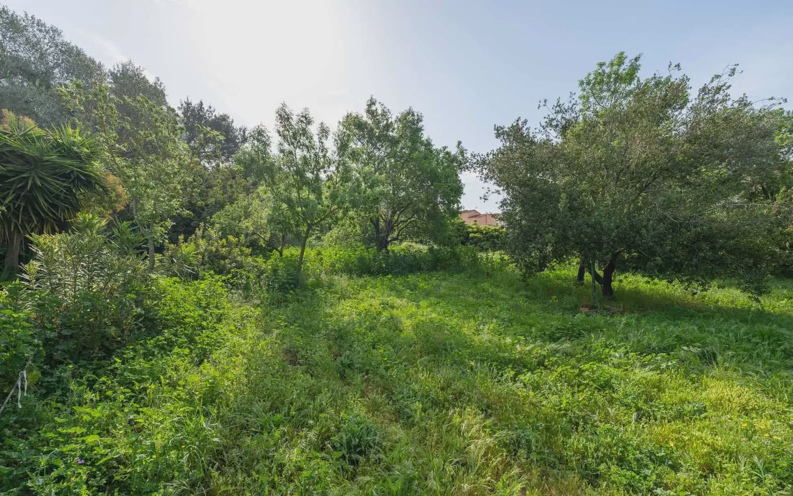 Building Plot for sale in Pals - € 395,000 (Ref: 9797996)