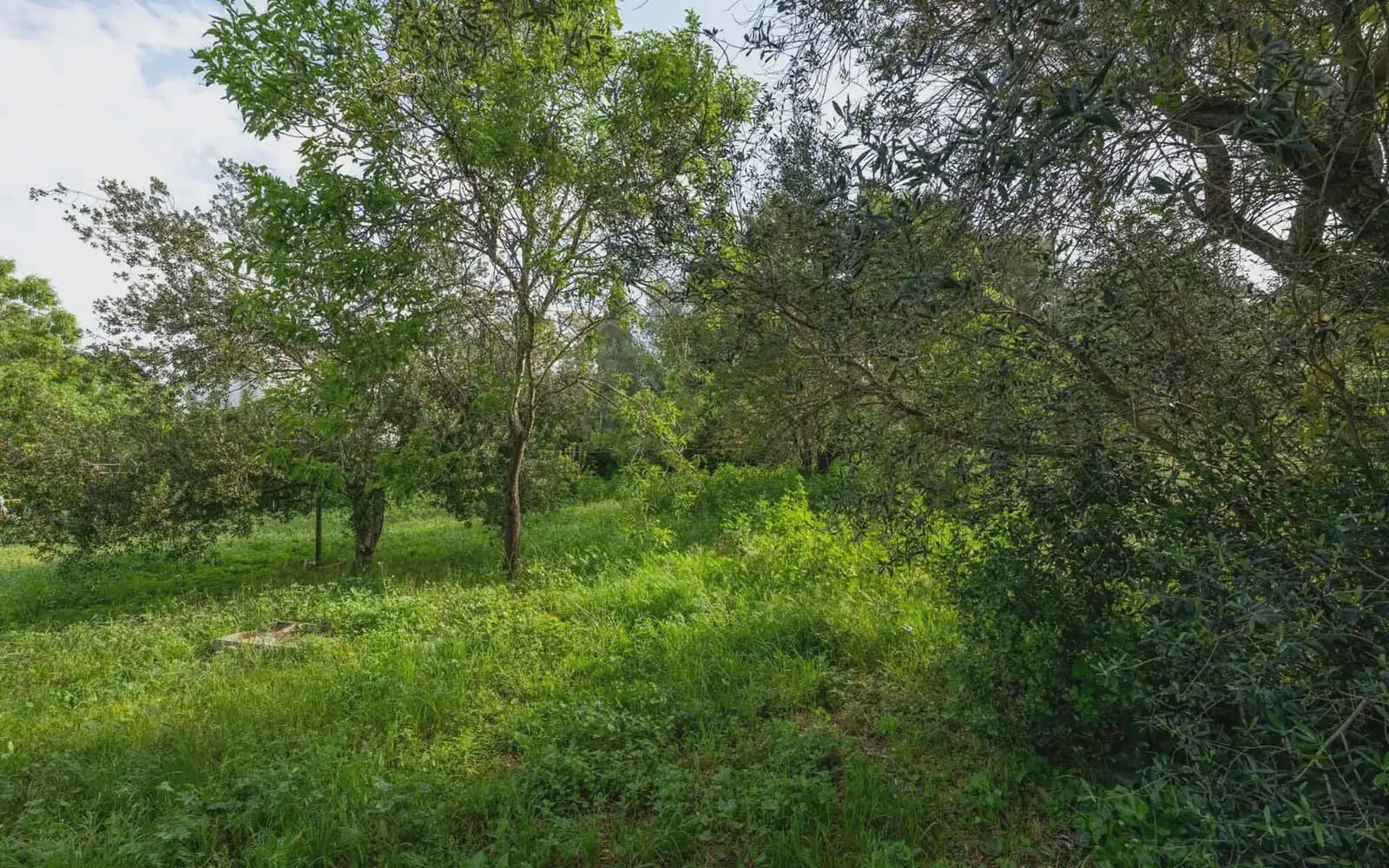 Building Plot for sale in Pals - € 395,000 (Ref: 9797996)