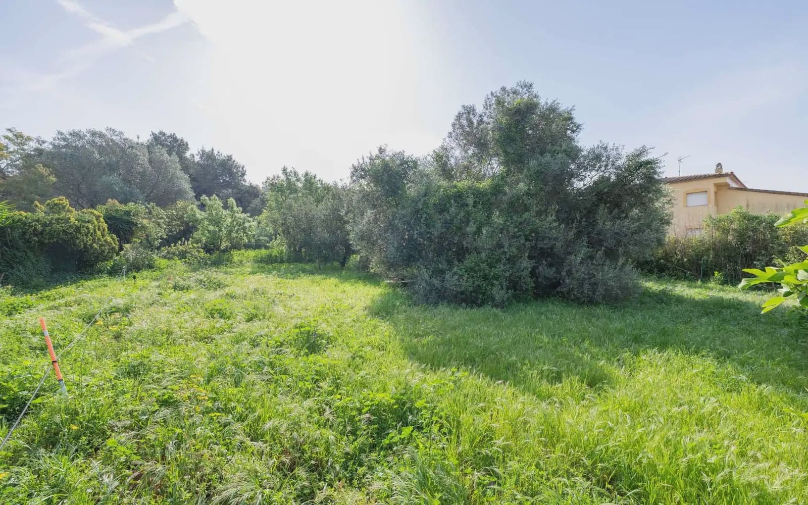 Building Plot for sale in Pals - € 395,000 (Ref: 9797996)