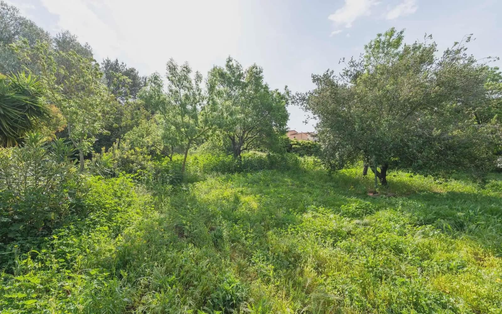Building Plot for sale in Pals - € 395,000 (Ref: 9797996)