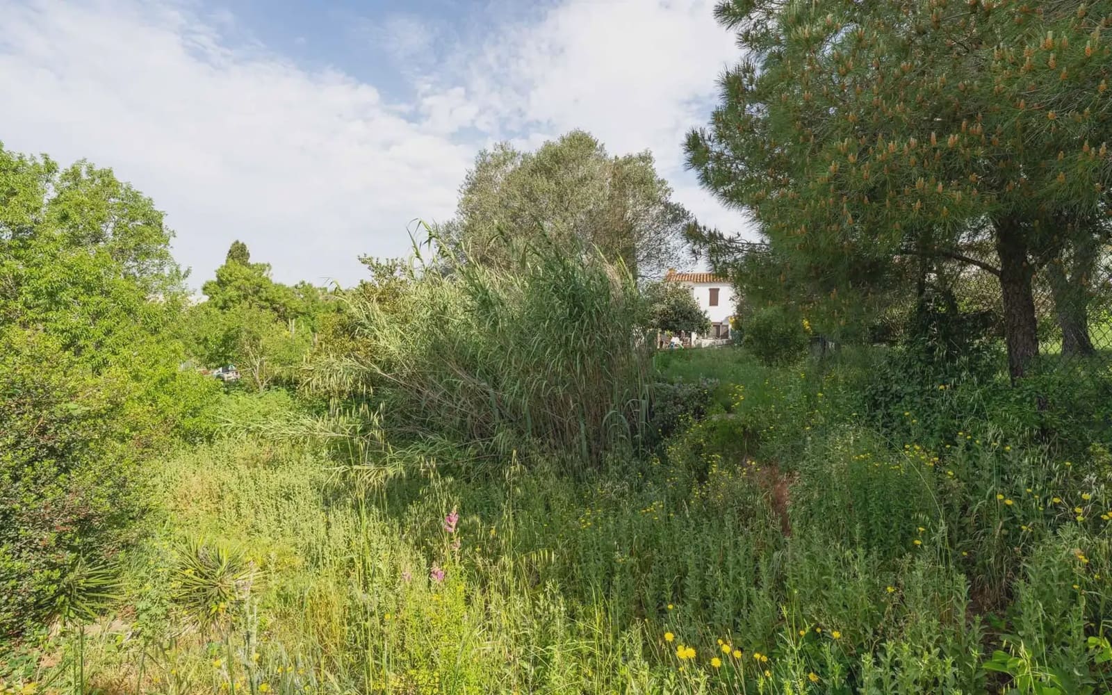 Building Plot for sale in Pals - € 395,000 (Ref: 9797996)