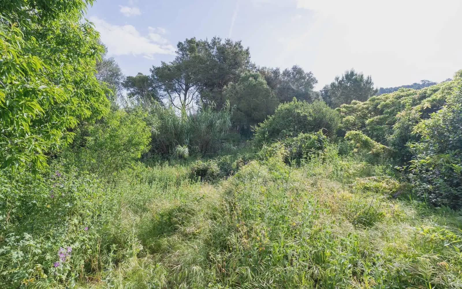 Building Plot for sale in Pals - € 395,000 (Ref: 9797996)