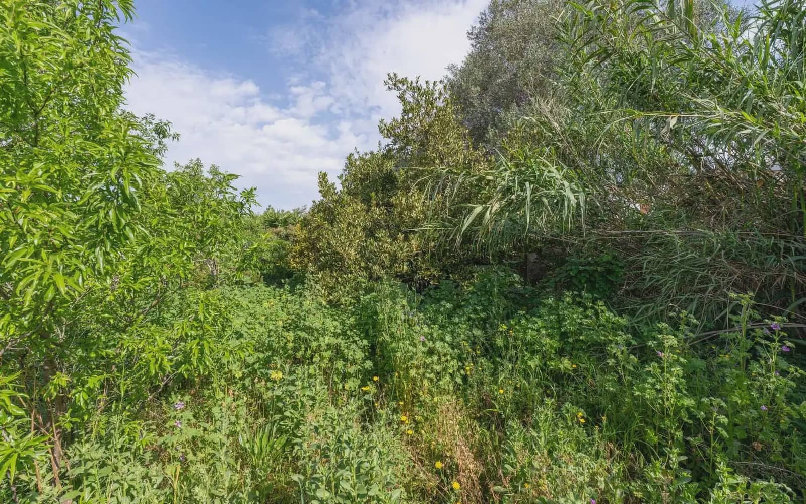 Building Plot for sale in Pals - € 395,000 (Ref: 9797996)