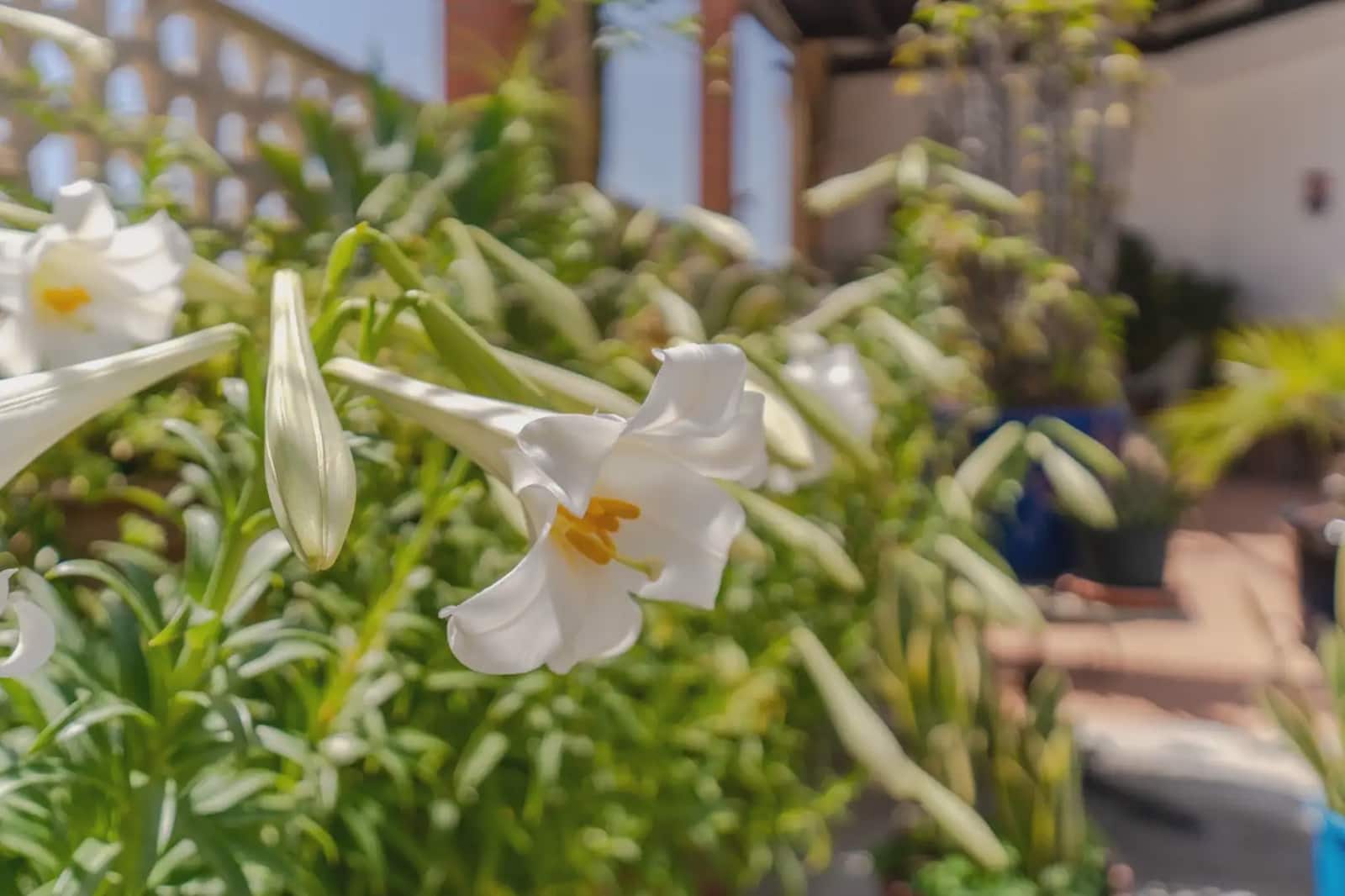 5 Zimmer Finca/Landgut zu verkaufen in Motril mit Pool Garage - 450.000 € (Ref: 9810418)