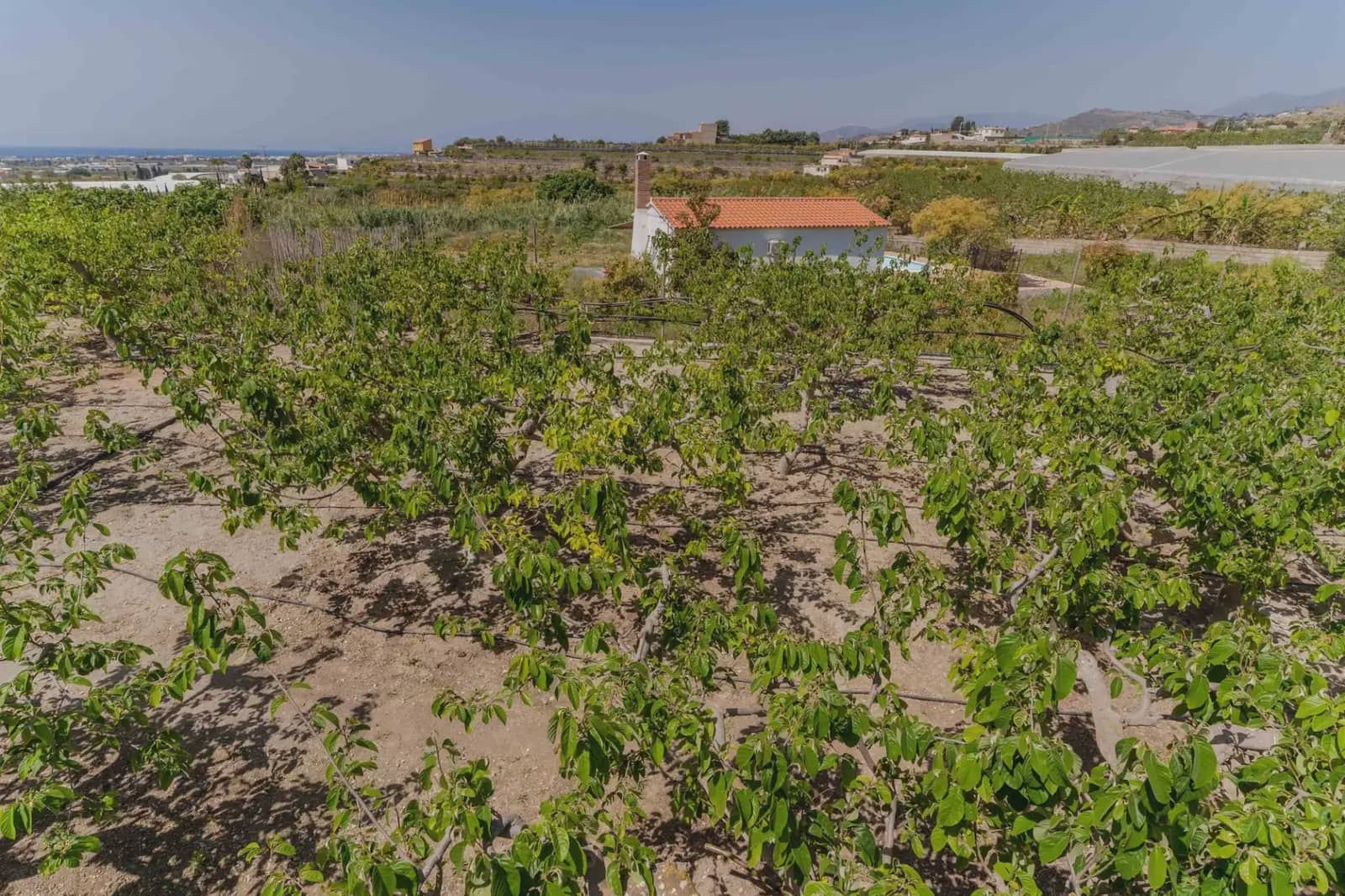 5 Zimmer Finca/Landgut zu verkaufen in Motril mit Pool Garage - 450.000 € (Ref: 9810418)