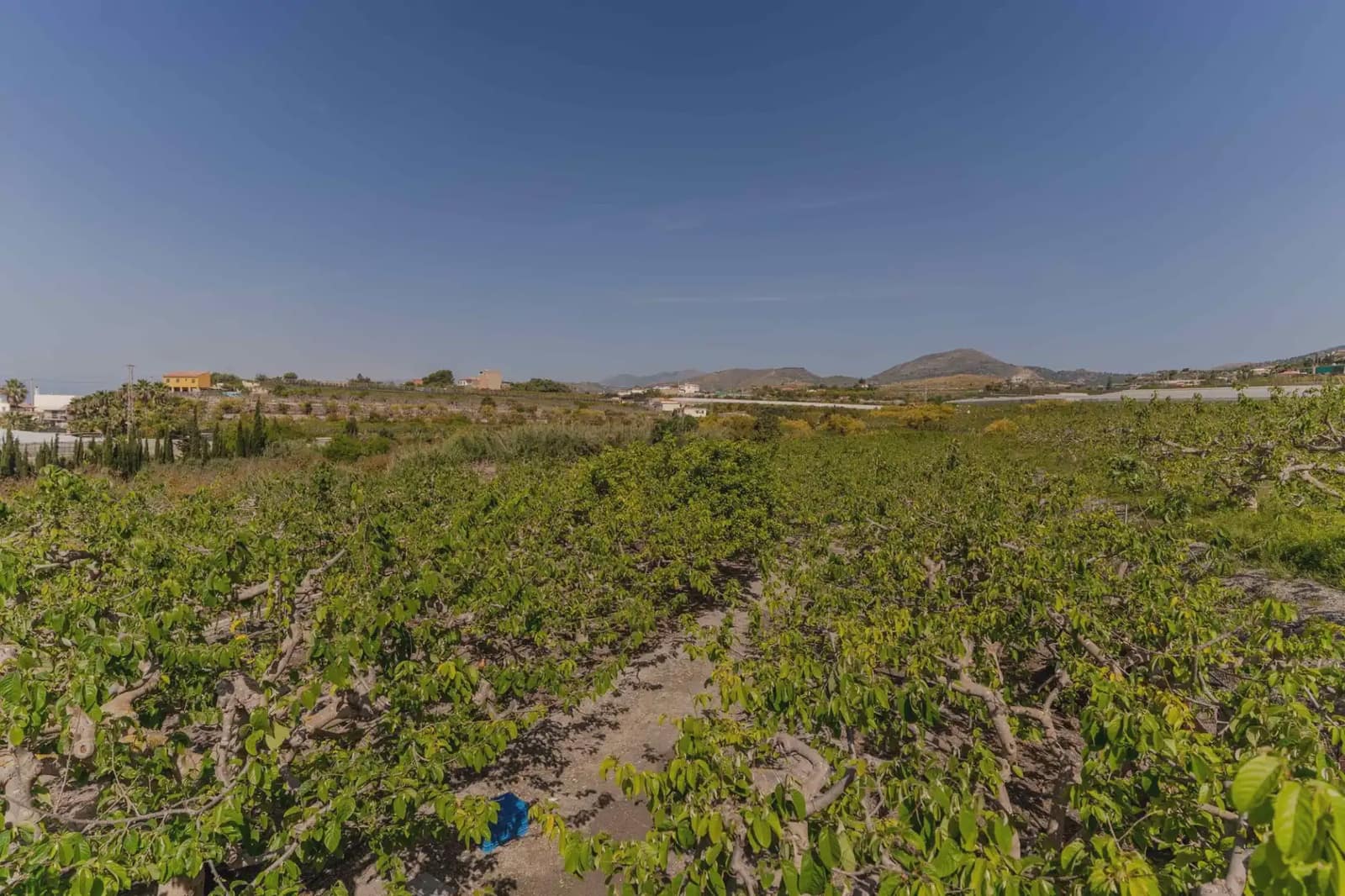 2 Zimmer Finca/Landgut zu verkaufen in Motril mit Pool Garage - 395.000 € (Ref: 9810844)