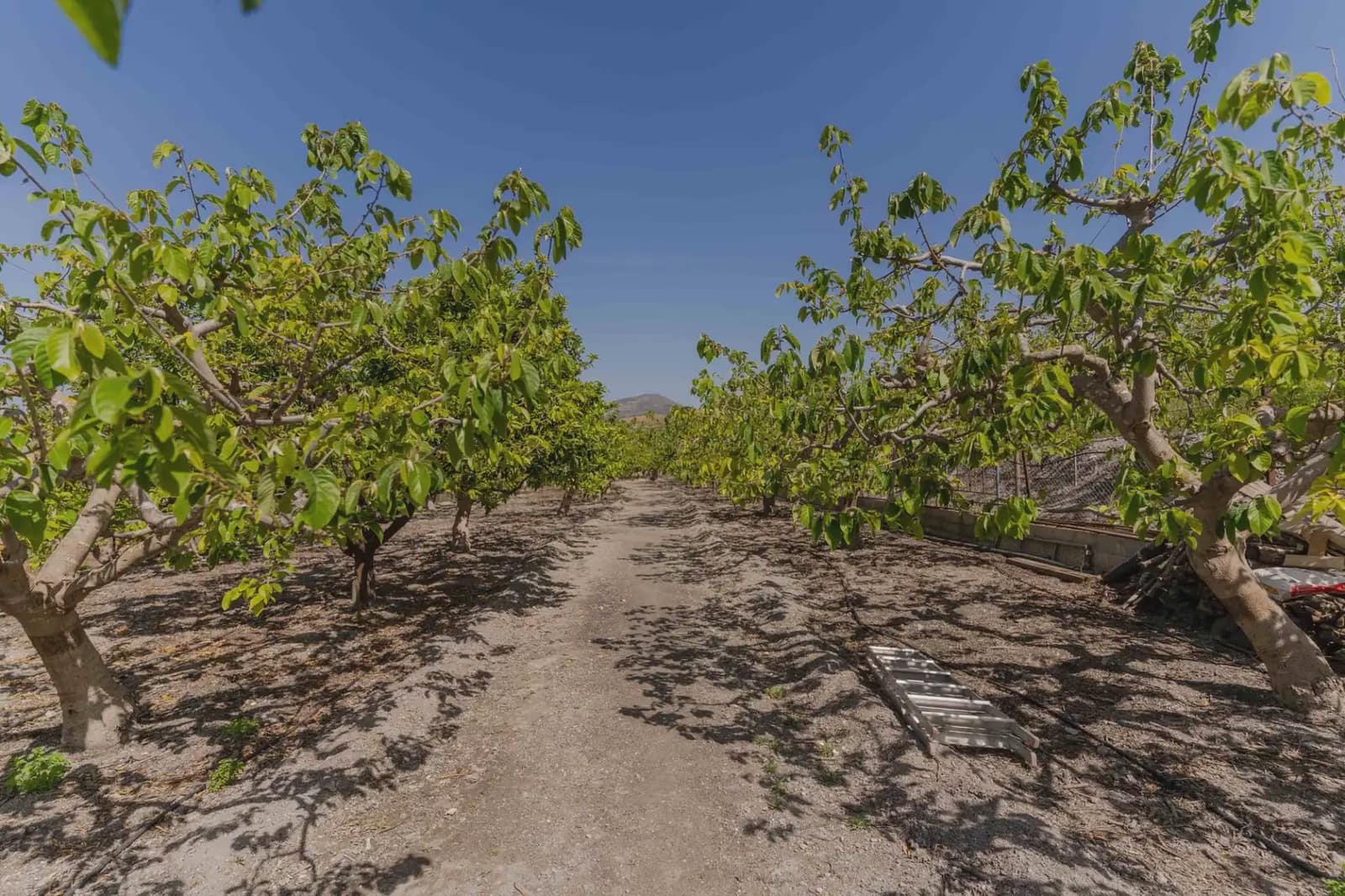 2 Zimmer Finca/Landgut zu verkaufen in Motril mit Pool Garage - 395.000 € (Ref: 9810844)