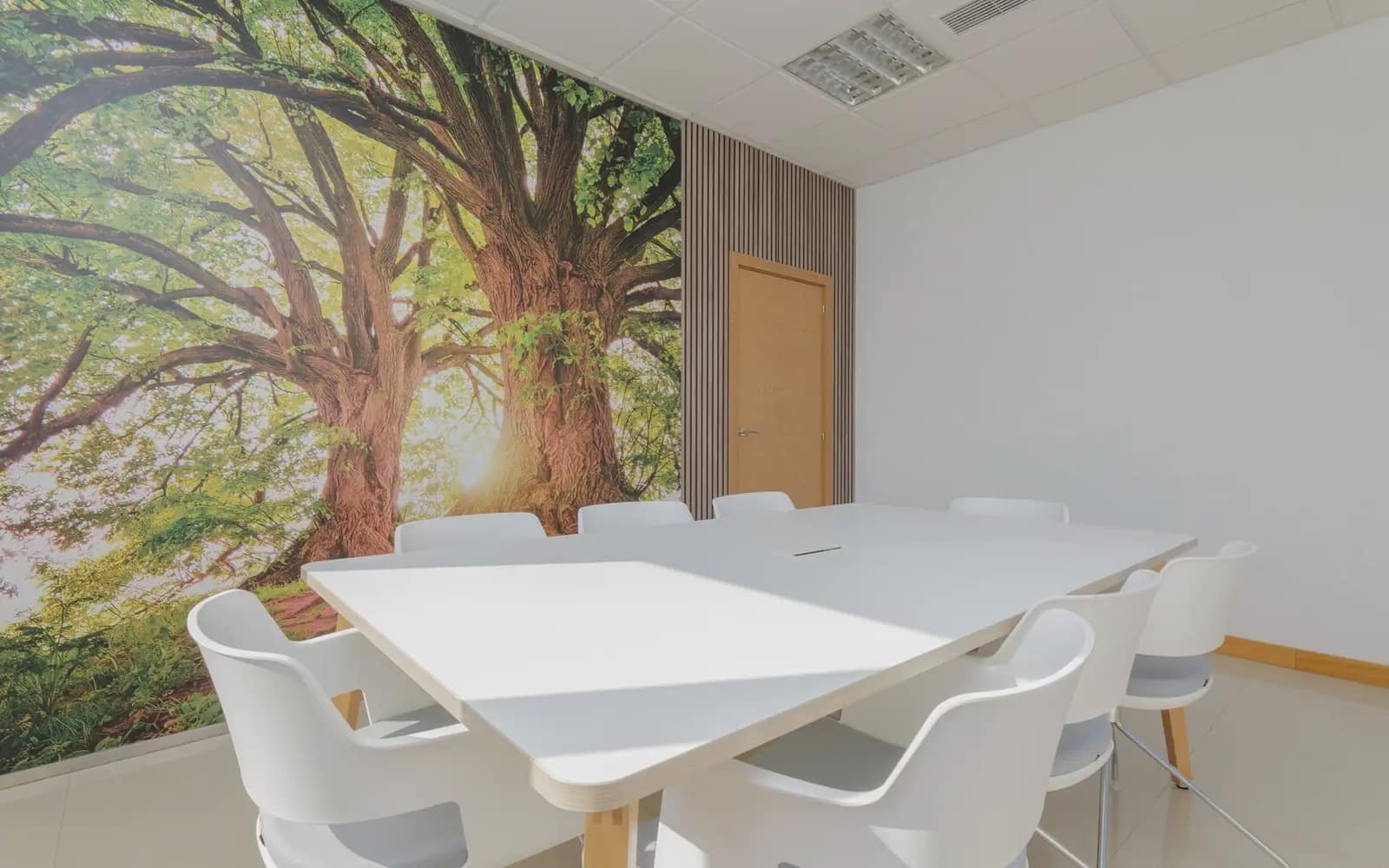 Oficina en Madrid ciudad en alquiler - 1.200 € (Ref: 9911984)