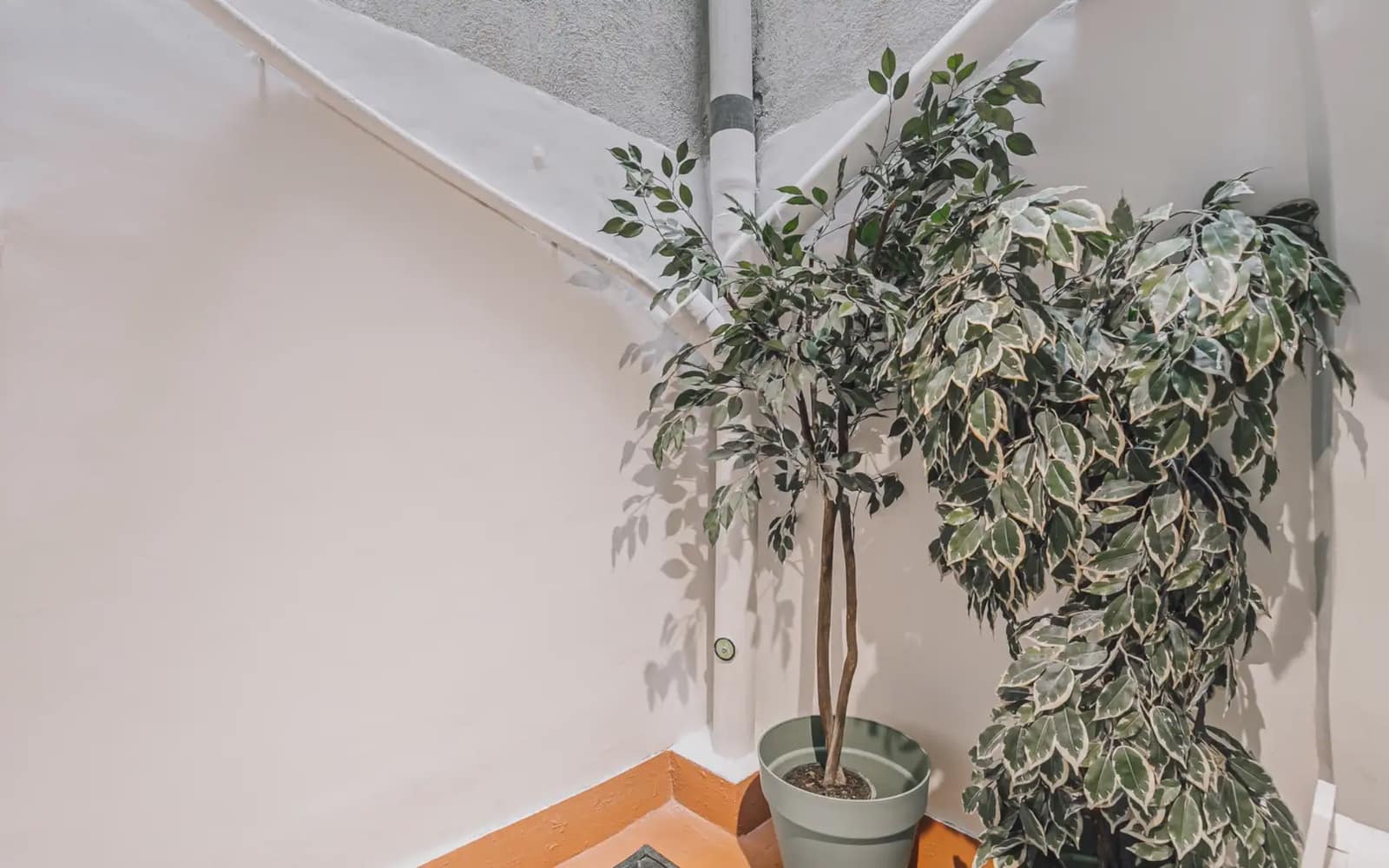 Kaupallinen myytävänä paikassa Barcelona kaupunki - 269 000 € (Ref: 9915030)